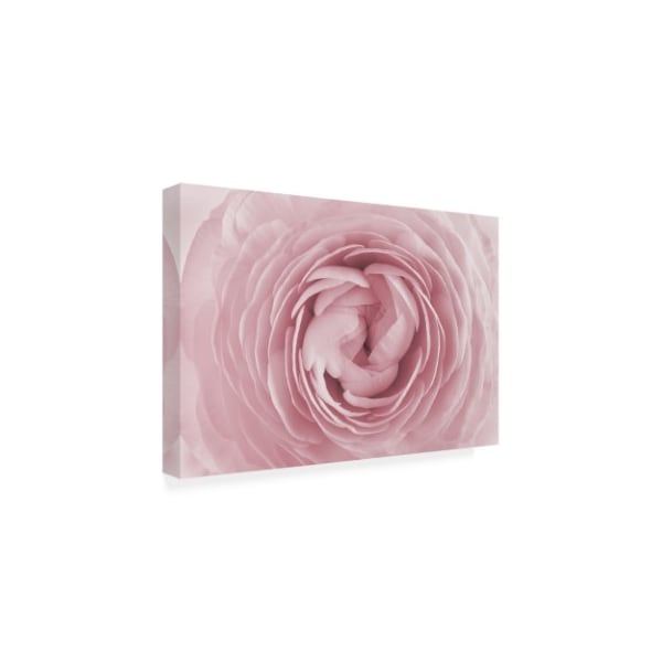 PhotoINC Studio 'Large Pink Rose' Canvas Art,12x19